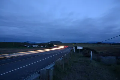 DSC_1132 (Large).JPG